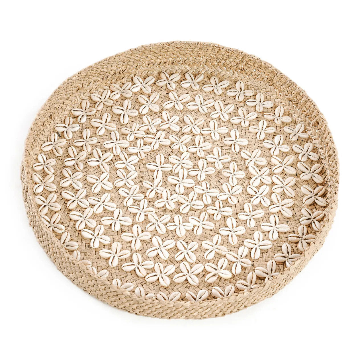 Costa Shell Wall Art - Natural White - M