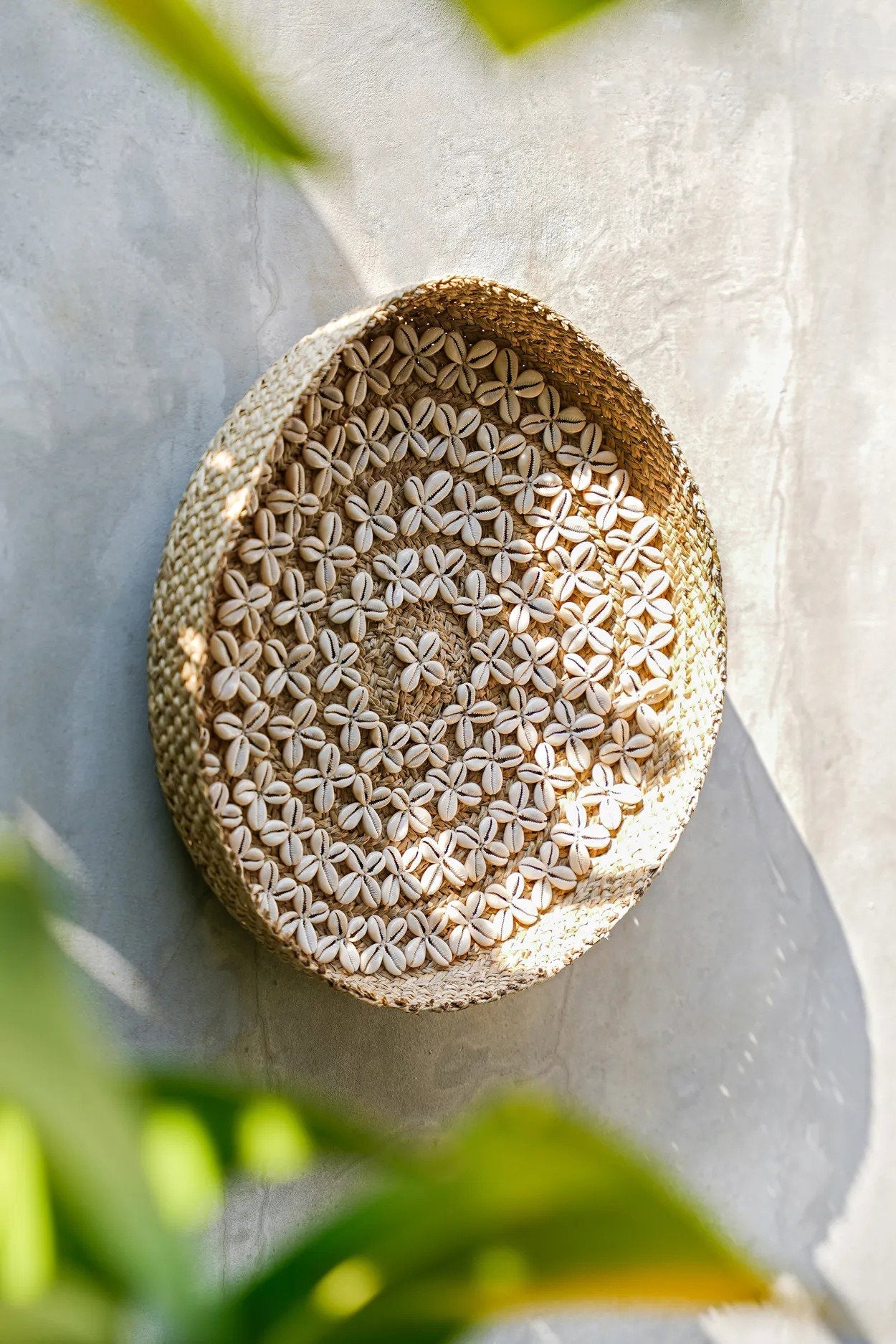 Costa Shell Wall Art - Natural White - M