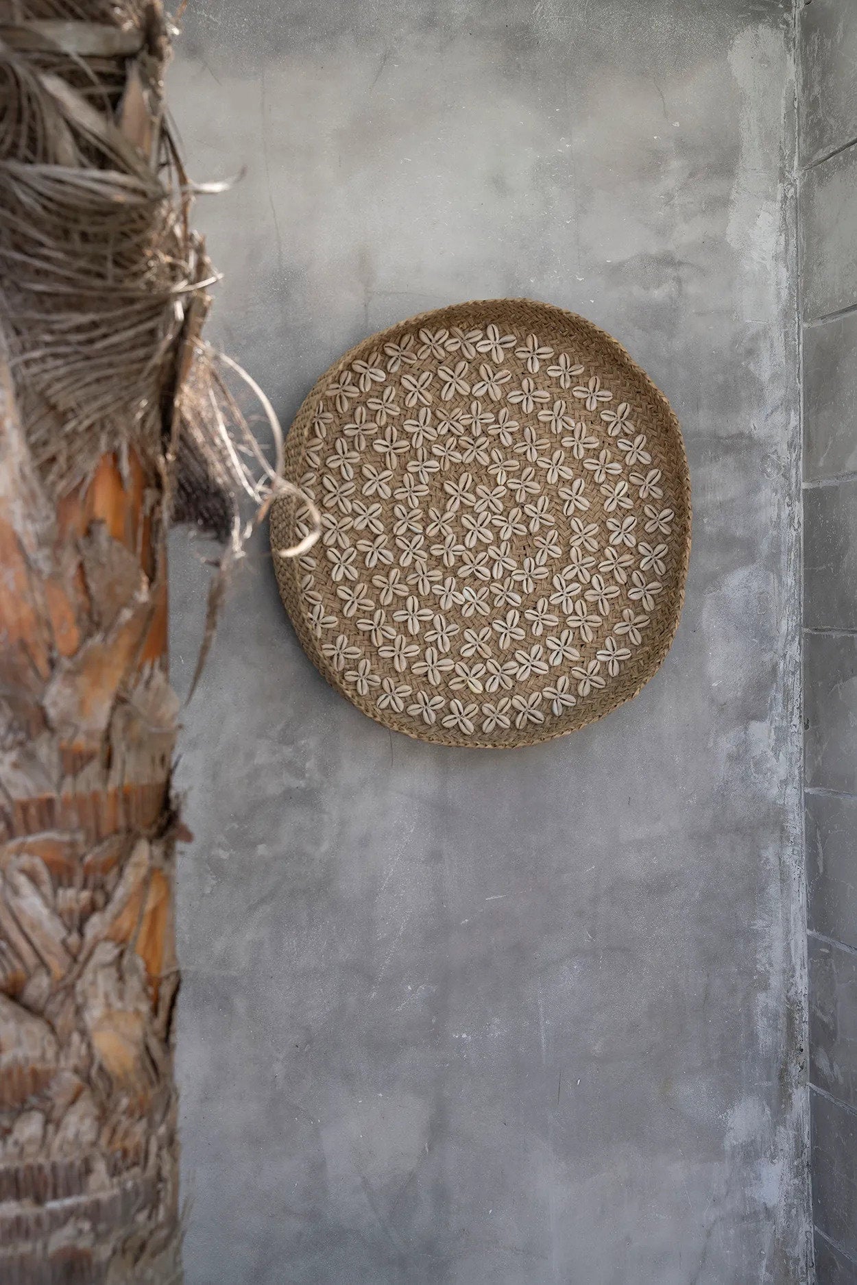 Costa Shell Wall Art - Natural White - M
