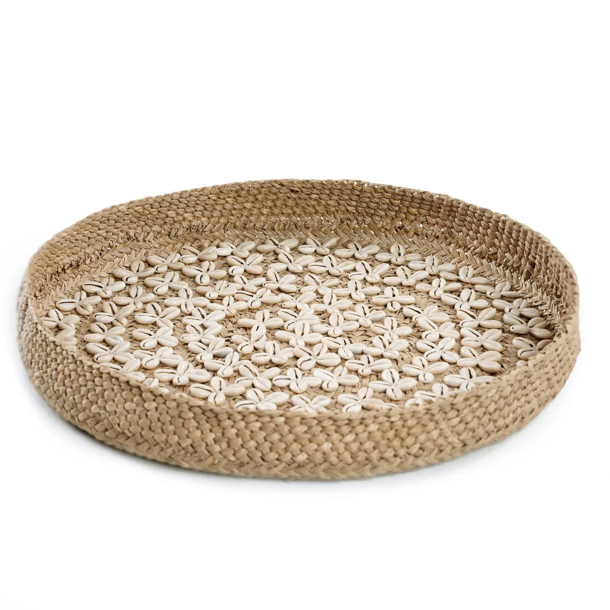 Costa Shell Wall Art - Natural White - M