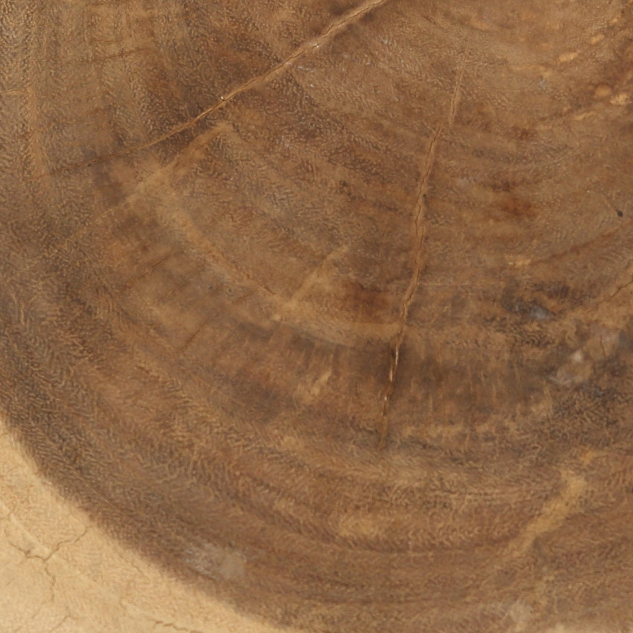 Stammen Taburet - Naturlig Hvid - Nordic Unique