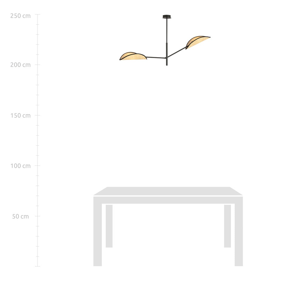 Loftlampe VENE 2 - Sort / Rattan - Nordic Unique