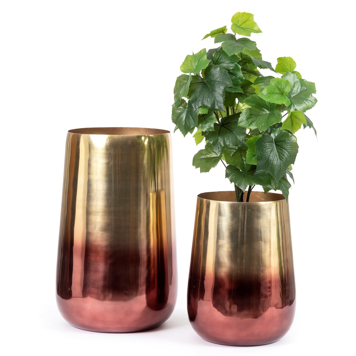 The Two-Tone Brass Jar - Brass - XL