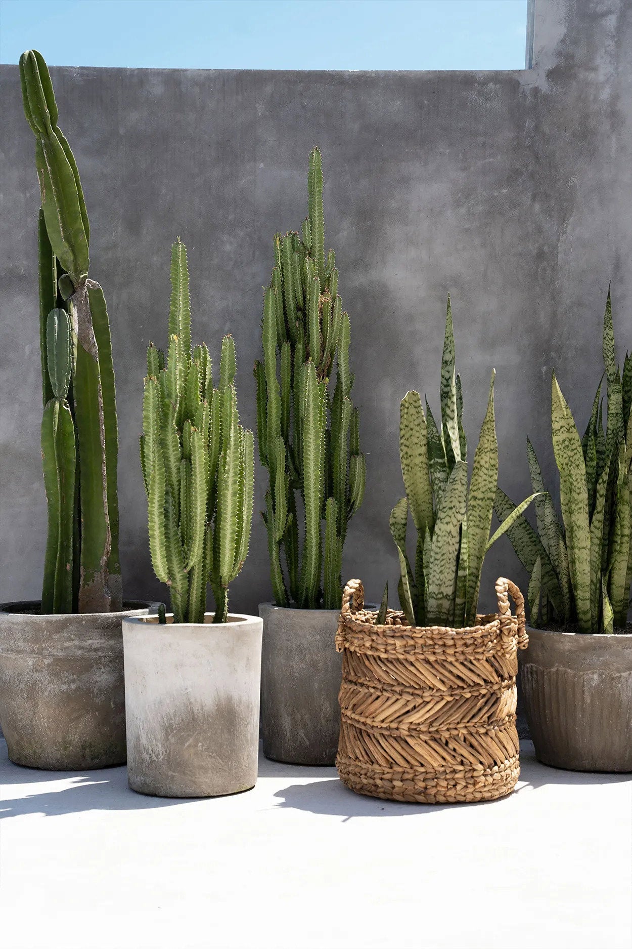 Banana Zigzag Kurv - L - Nordic Unique