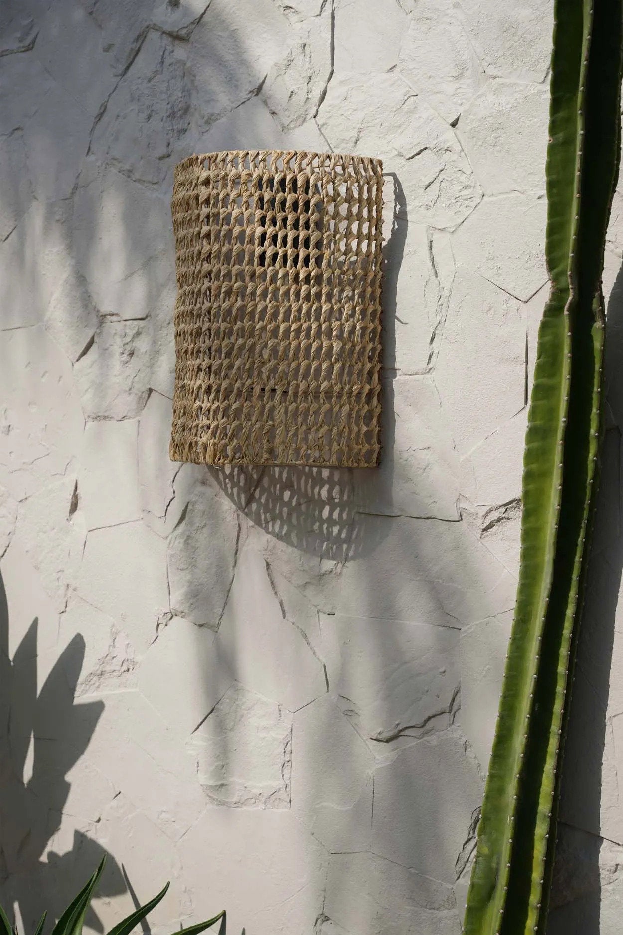 SiriKit Wall Art - Natural