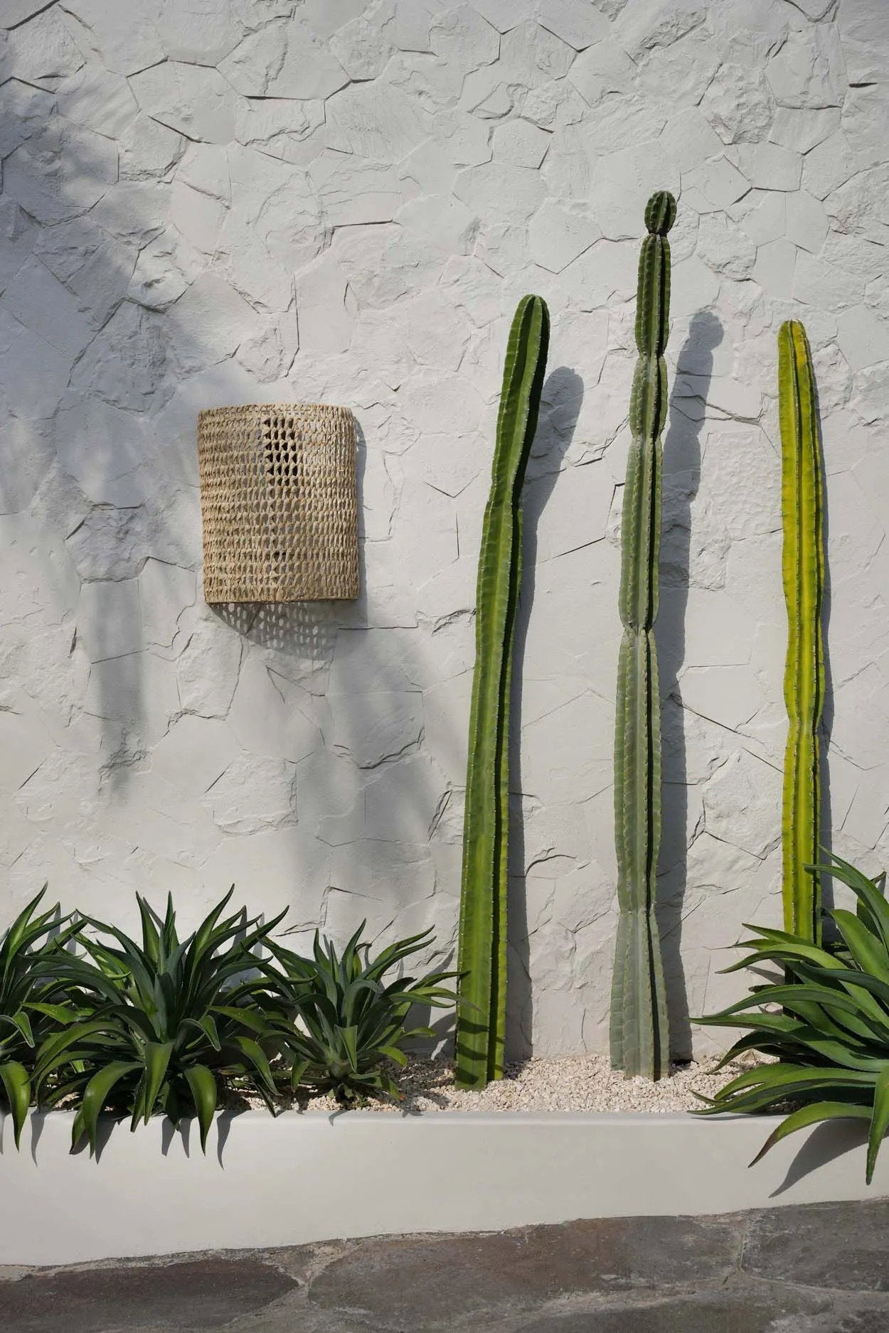 SiriKit Wall Art - Natural