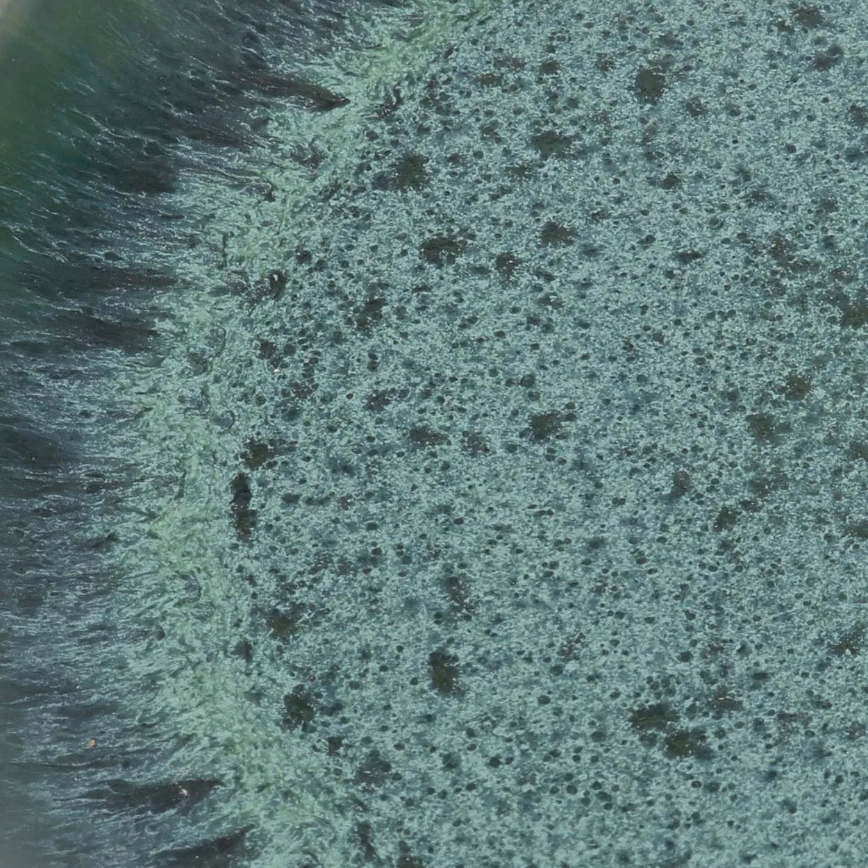 Aqua Salat Tallerken - Sæt af 6 - Nordic Unique