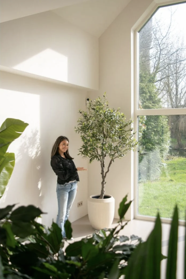 Kunstig Oliventræ 200 cm